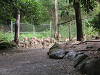 s_A_PICT0069_thumb.png